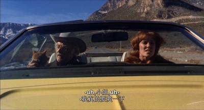 老人与猫剧照的剧照