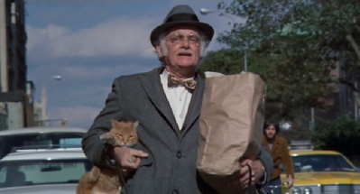 老人与猫剧照的剧照