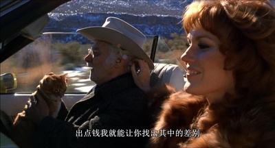 老人与猫剧照的剧照