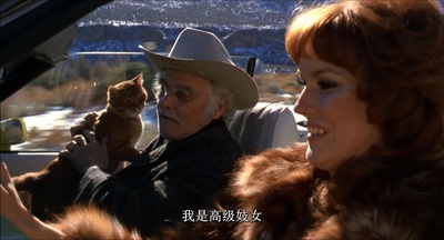 老人与猫剧照的剧照