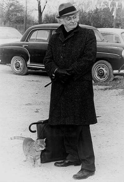 老人与猫剧照的剧照