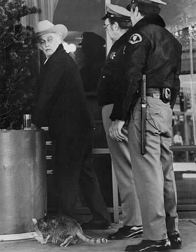 老人与猫剧照的剧照