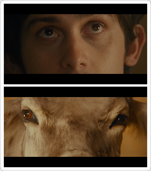 护工故事剧照的剧照