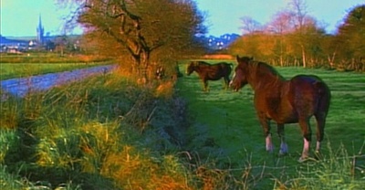 爱的挽歌剧照的剧照