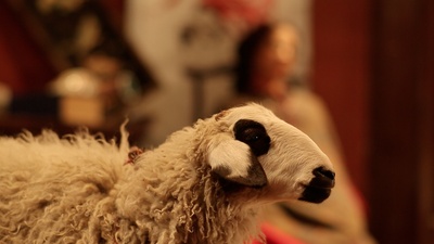 人间喜剧剧照的剧照