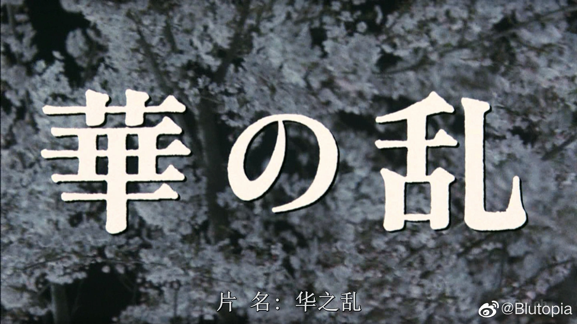 华之乱剧照的剧照