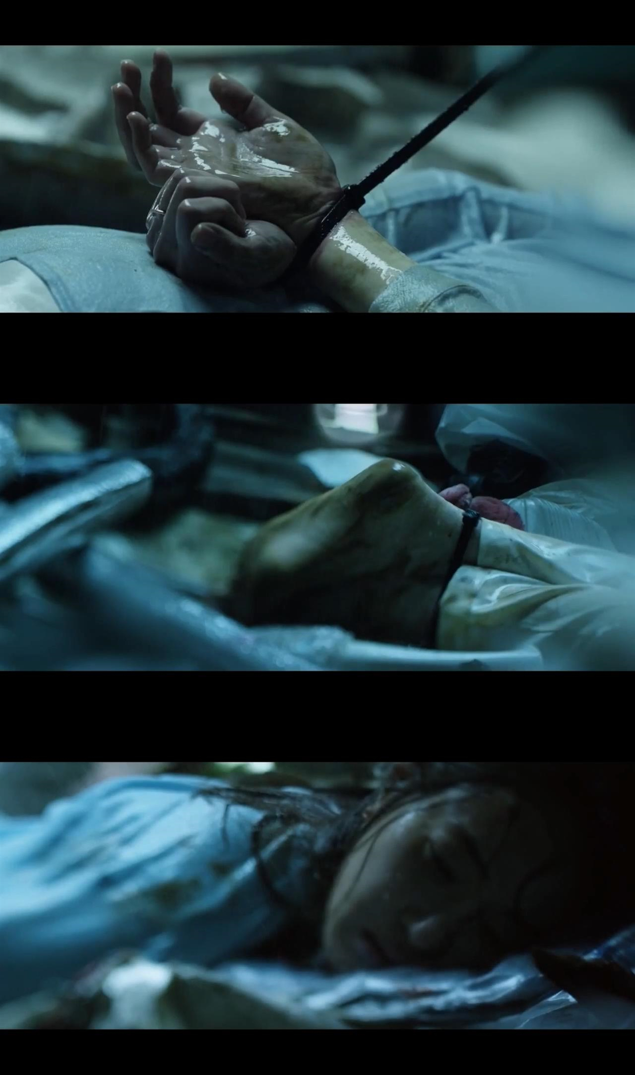 手机剧照的剧照