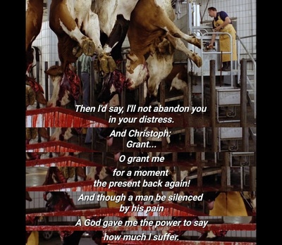 十三个月亮剧照的剧照