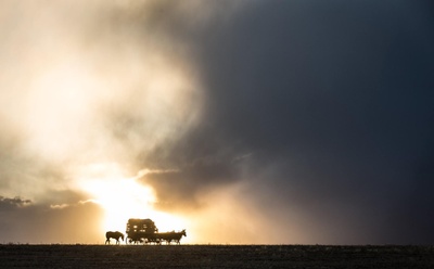 送乡人剧照的剧照