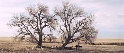送乡人剧照的剧照