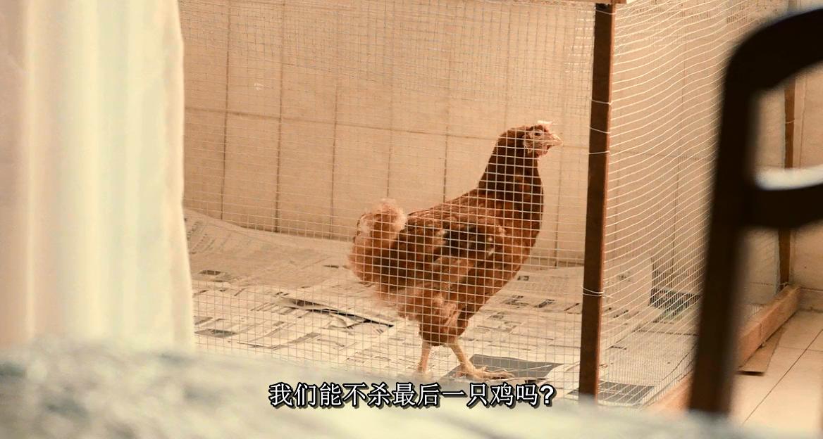 爸妈不在家剧照的剧照