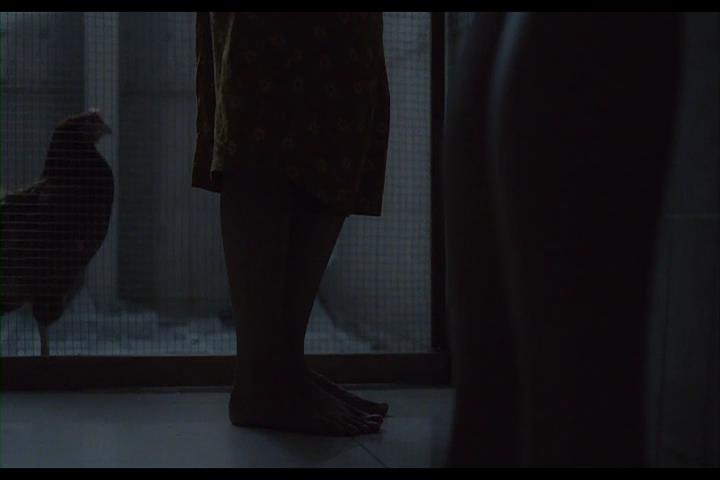 爸妈不在家剧照的剧照