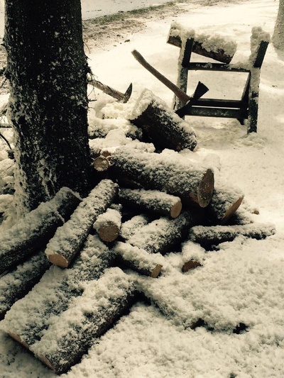 类人猿行动剧照的剧照