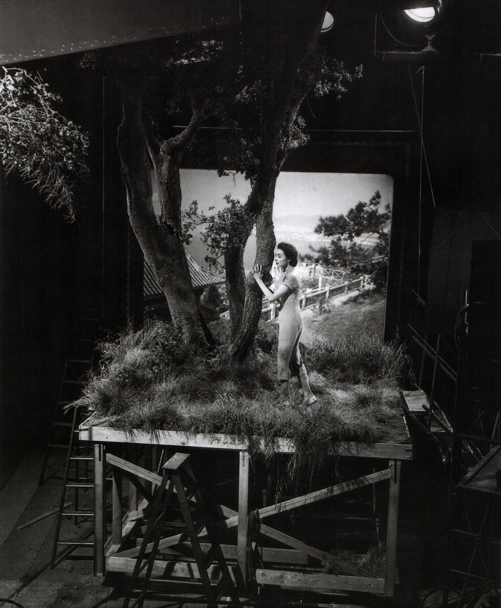 爱情多壮丽剧照的剧照