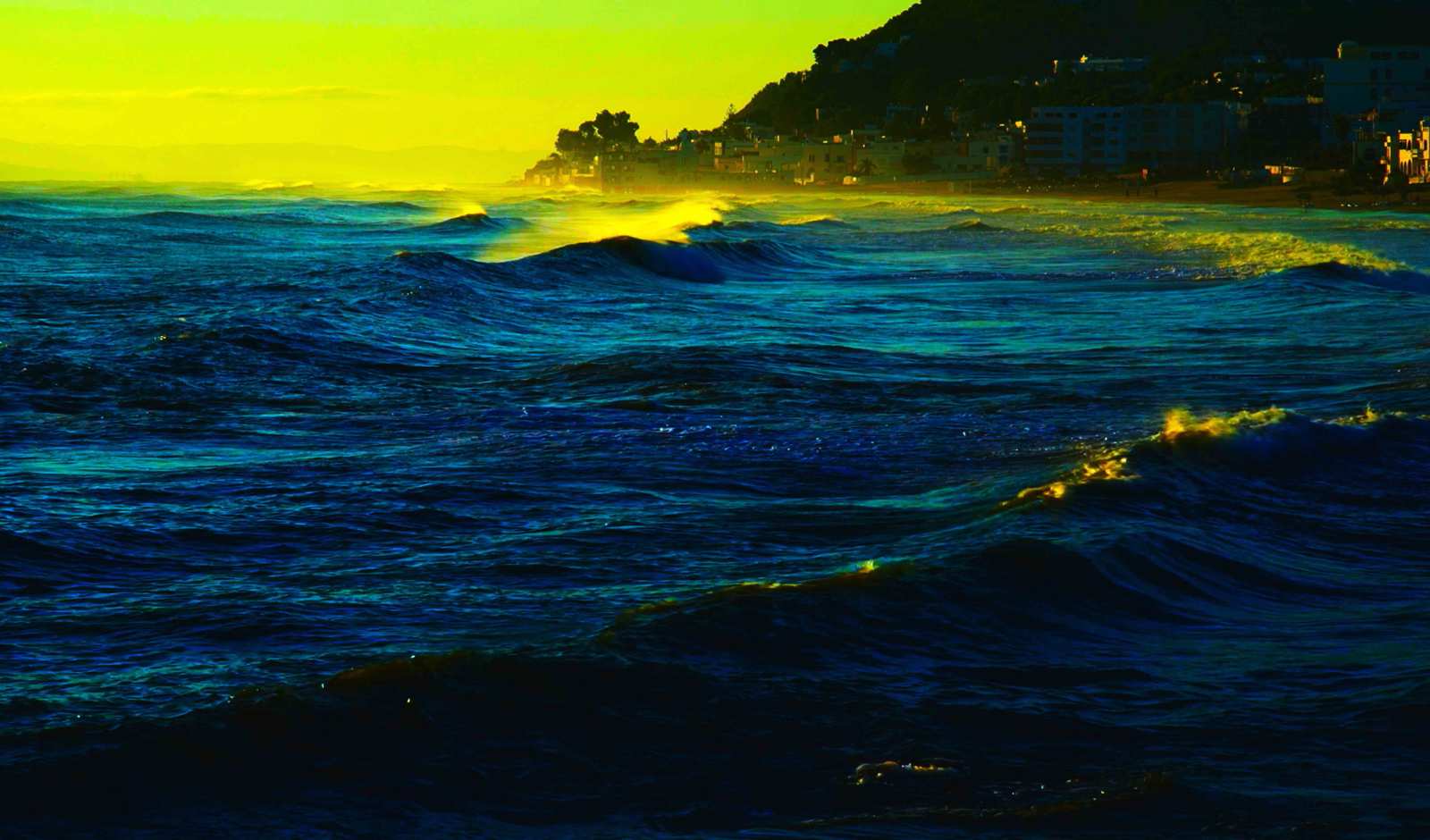 影像之书剧照的剧照