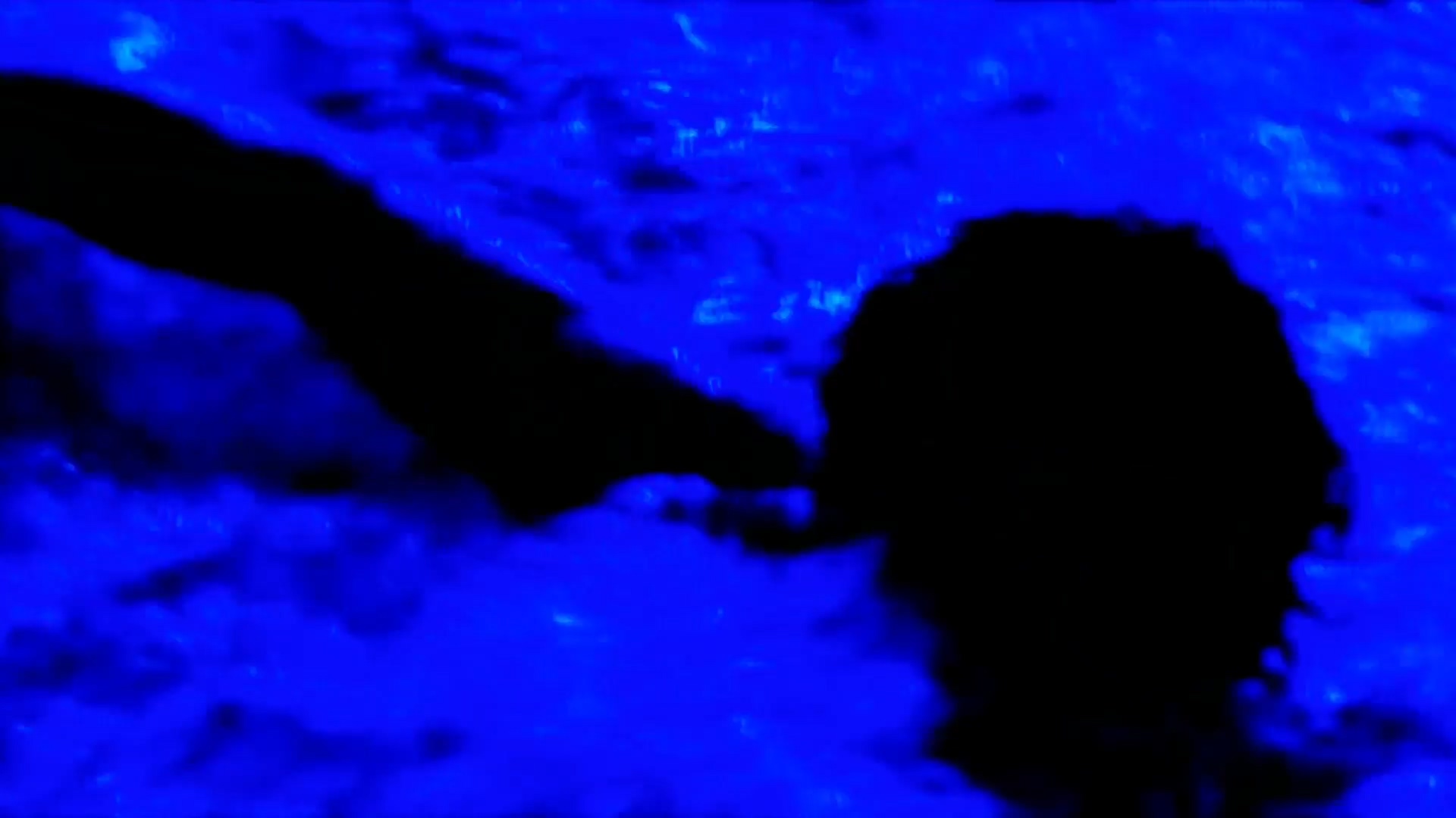 影像之书剧照的剧照