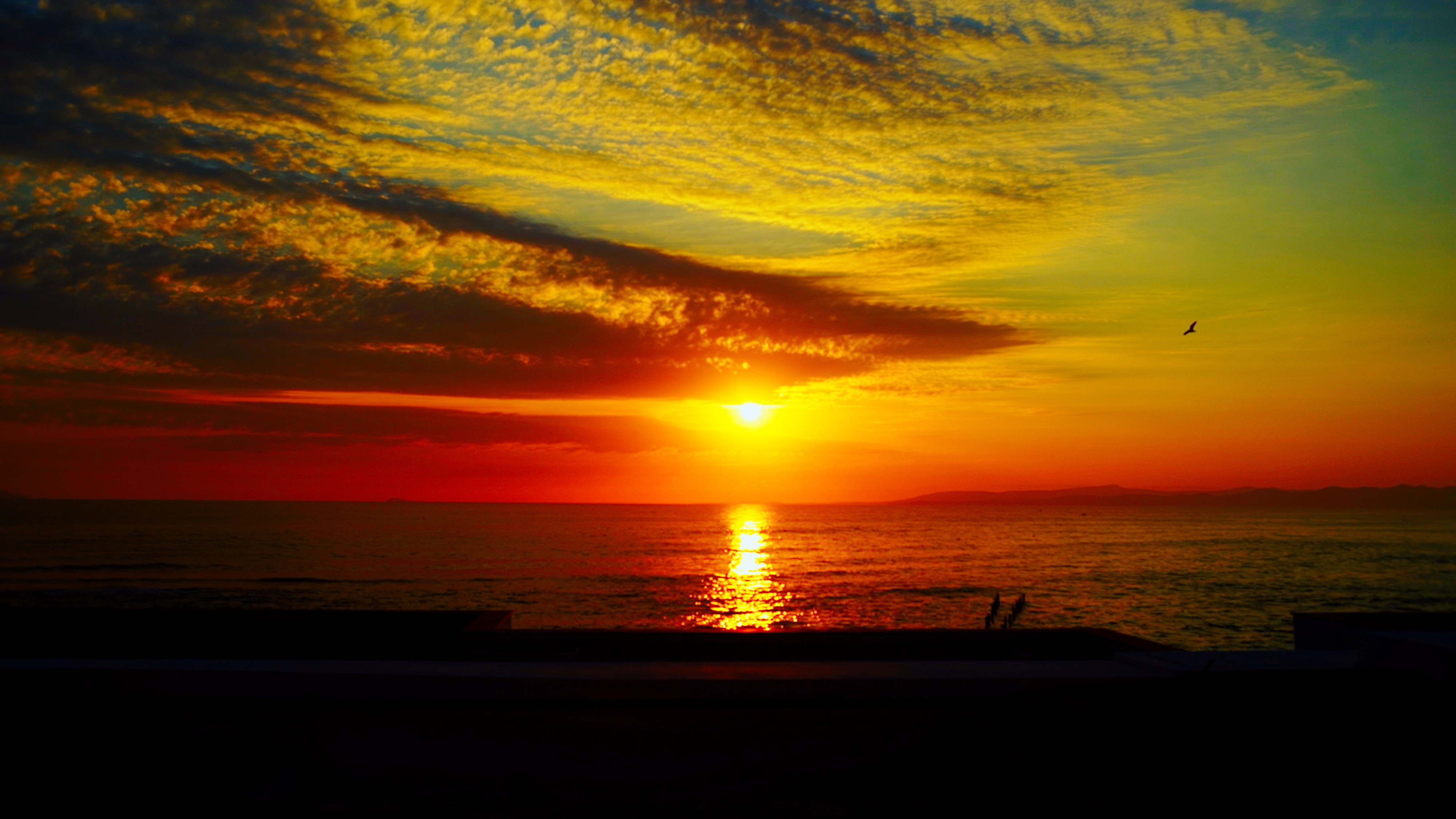 影像之书剧照的剧照