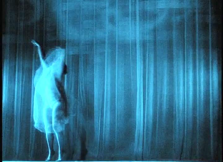 圣山剧照的剧照