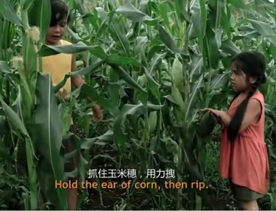 乳母果的滋味剧照的剧照