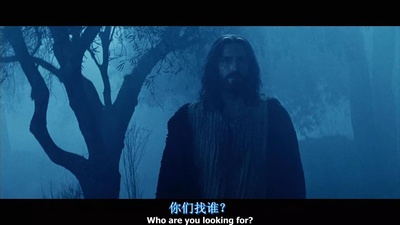 耶稣受难记剧照的剧照