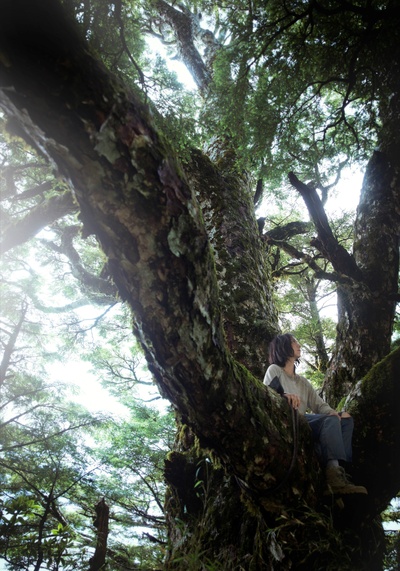 德布西森林剧照的剧照