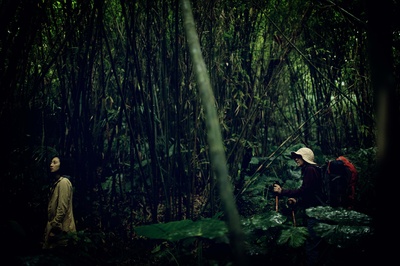 德布西森林剧照的剧照