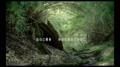 德布西森林剧照的剧照