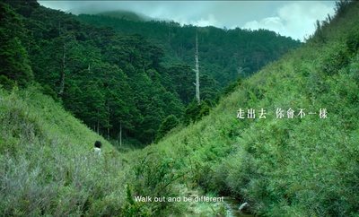 德布西森林剧照的剧照