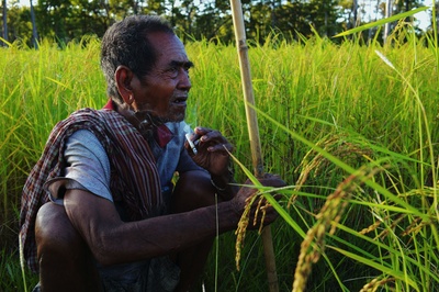 最后的象人剧照的剧照