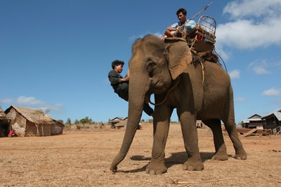 最后的象人剧照的剧照