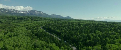 羊与钢的森林剧照的剧照