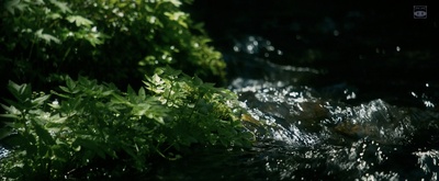 羊与钢的森林剧照的剧照