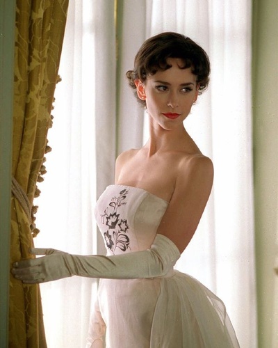 奥黛丽·赫本的故事剧照的剧照