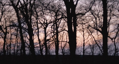 征服者贝莱剧照的剧照