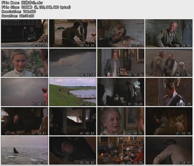 征服者贝莱剧照的剧照