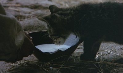 征服者贝莱剧照的剧照