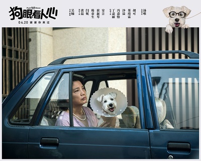 狗眼看人心剧照的剧照