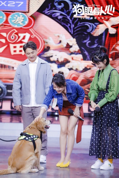 狗眼看人心剧照的剧照