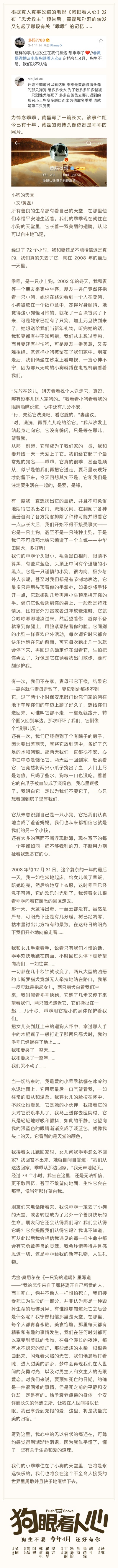 狗眼看人心剧照的剧照