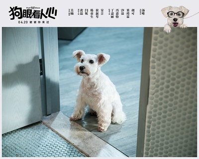 狗眼看人心剧照的剧照