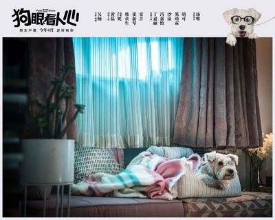 狗眼看人心剧照的剧照