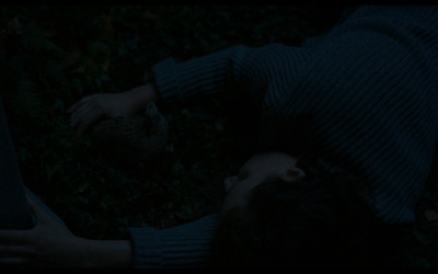 我离家了，但……剧照的剧照