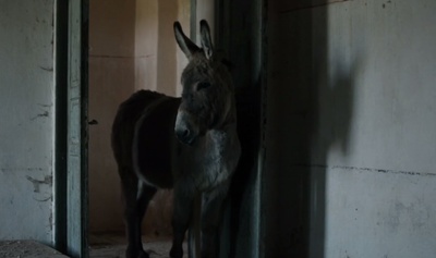 我离家了，但……剧照的剧照