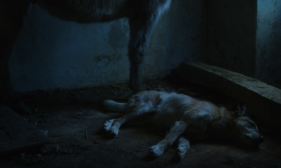 我离家了，但……剧照的剧照