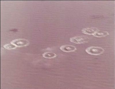 战洪图剧照的剧照