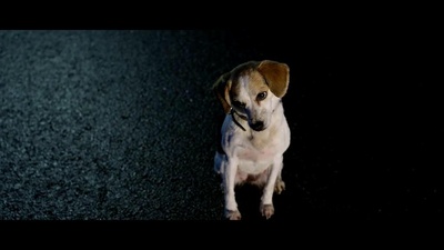 走到尽头剧照的剧照