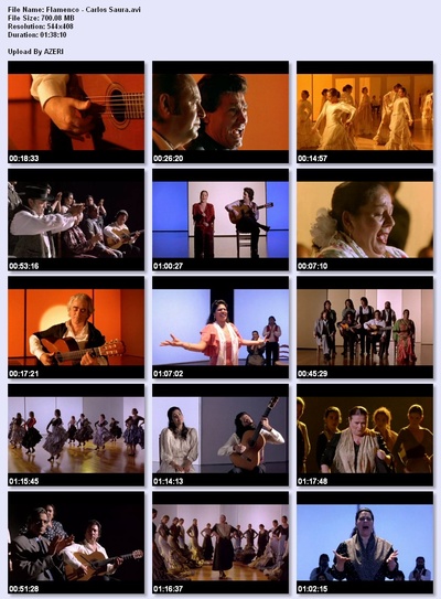 弗拉门戈剧照的剧照