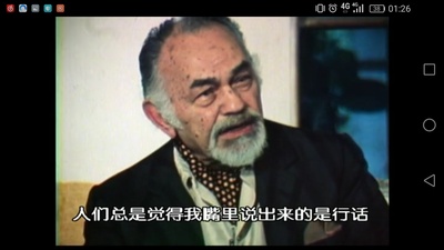 公众之敌：黑帮电影的黄金时代剧照的剧照