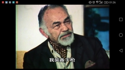 公众之敌：黑帮电影的黄金时代剧照的剧照