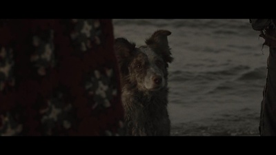 末日危途剧照的剧照